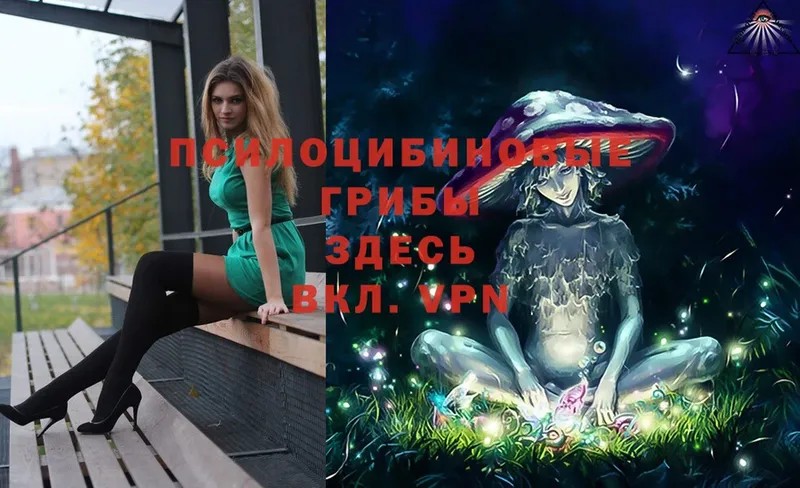 Псилоцибиновые грибы Magic Shrooms  Скопин 